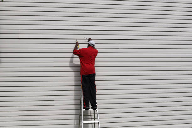 Best Siding Removal and Disposal  in Columbus, WI